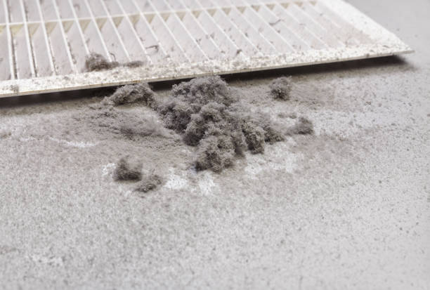 Best Local Air Duct Cleaning Services  in Underwood Petersville, AL