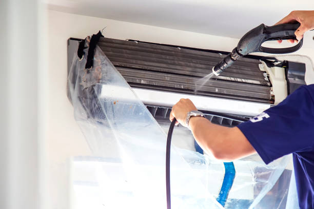 Best Dryer Vent Cleaning Services  in Underwood Petersville, AL