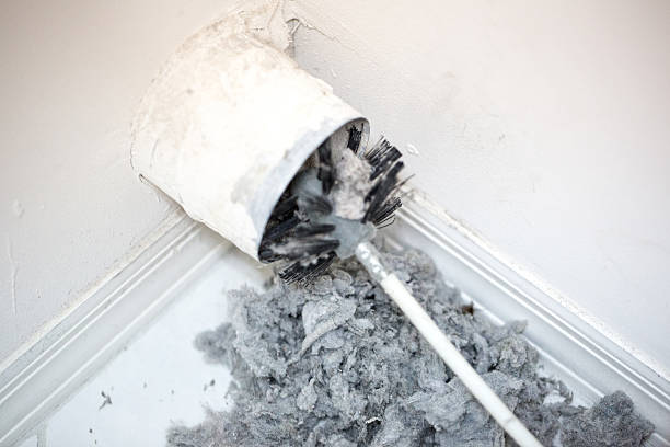 Best HVAC System Cleaning  in Underwood Petersville, AL